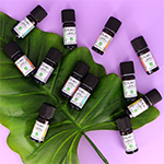 Catégorie Dernière chance