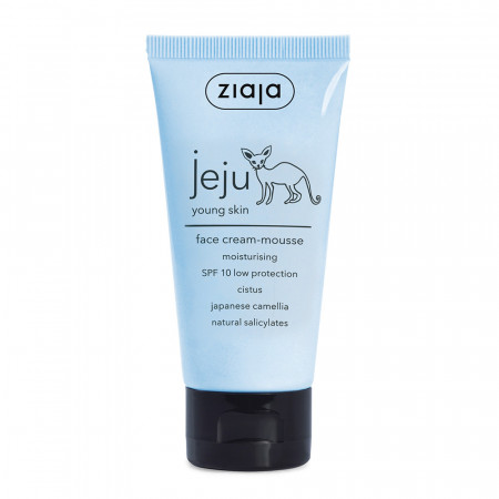 Mousse Visage Hydratante SPF 10 pour Peau Grasse à Imperfections 