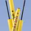Mascara Couleur Cils Intense