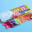 Palette Make-up Artist Pump It